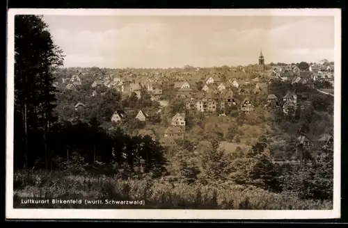 AK Birkenfeld /württ. Schwarzwald, Ortsansicht