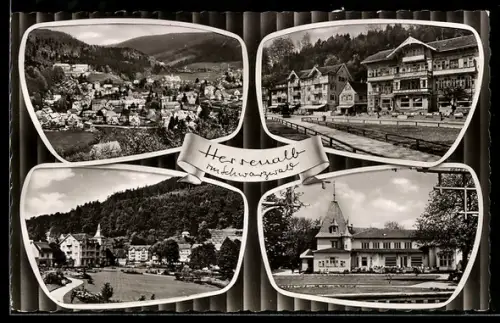 AK Herrenalb im Schwarzwald, Ortsansicht, Kurhaus, Hotels