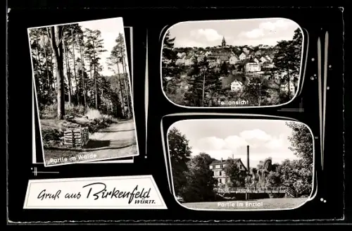AK Birkenfeld /Württ., Teilansicht, Partie im Enztal, Partie im Walde
