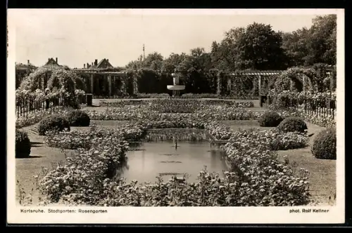 AK Karlsruhe, Stadtgarten, Rosengarten, Brunnen, Pergolen