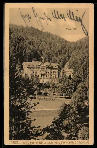 AK Triberg, Schwarzwaldhotel mit Umgebung, Wasserfälle