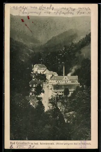 AK Bad Peterstal-Griesbach, Ortschaft aus der Ferne gesehen