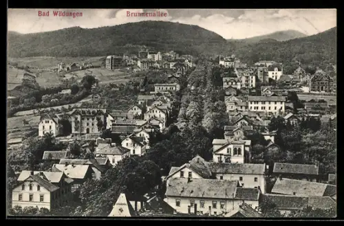 AK Bad Wildungen, Brunnenallee
