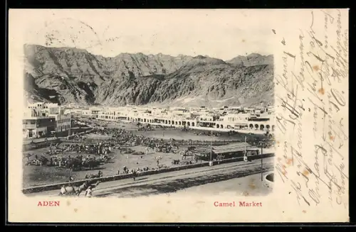 AK Aden, Camel Market