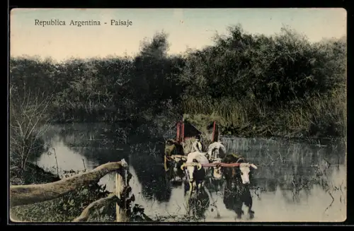 AK Republica Argentina, Paisaje