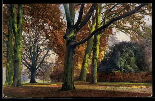 Künstler-AK Photochromie Nr. 3165: Beauty Spots of England, Beeches, Kew Gardens, Parkstück