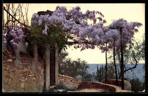 Künstler-AK Photochromie Nr. 2648: San Ambrogio, Burgruine