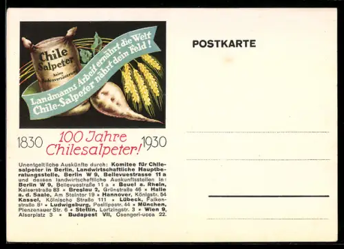 Künstler-AK Reklame für Chilesalpeter