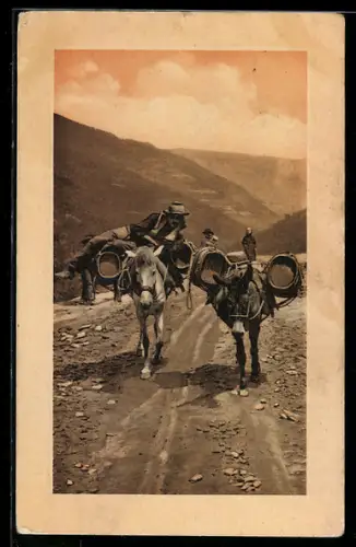 AK Bepackte Maultiere auf einer Bergstrasse