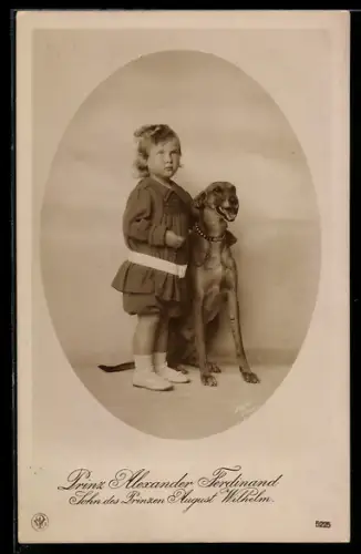 AK Sohn von Prinz August Wilhelm von Preussen mit Windhund, Prinz Alexander Ferdinand