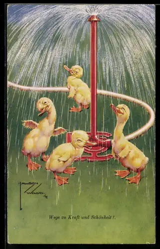 Künstler-AK Lawson Wood: Junge Enten baden unter einer Fontäne