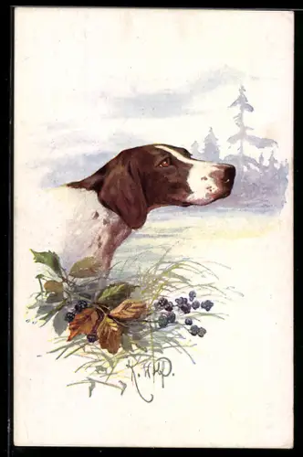 AK Jagdhund bei der Witterungsaufnahme