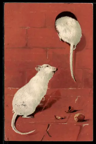AK Weisse Mäuse und Haselnüsse
