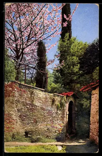 Künstler-AK Photochromie Serie 69, Nr. 1822: Sommerlicher Tag in einem Garten