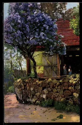 AK Photochromie NR: 3992, Serie 251, Bauernhaus mit Steinmauer und blühendem Baum