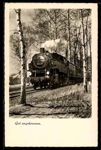 AK Lokomotive fährt an Birken vorbei