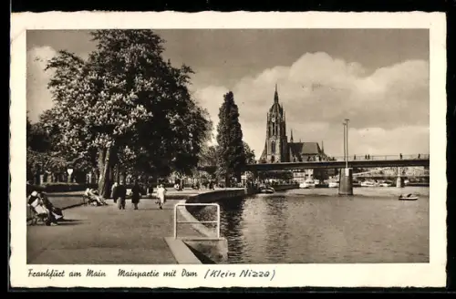 AK Alt-Frankfurt, Mainpartie mit Dom