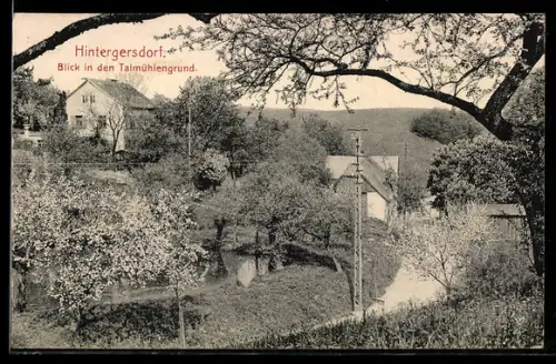 AK Hintergersdorf, Teilansicht im Talmühlengrund