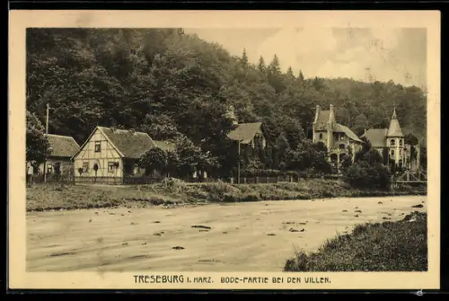 AK Treseburg / Harz, Bode-Partie bei den Villen