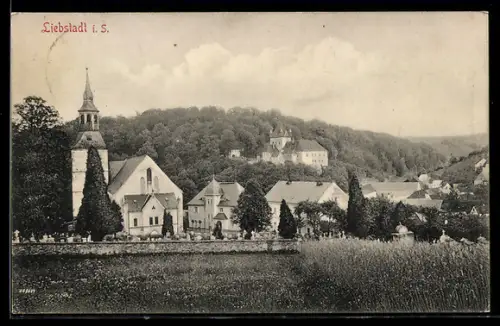 AK Liebstadt i. S., Ortsansicht mit Kirche und Friedhof von Wiese aus