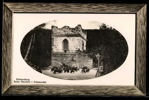 AK Blankenburg, Blick zur Ruine Eberstein