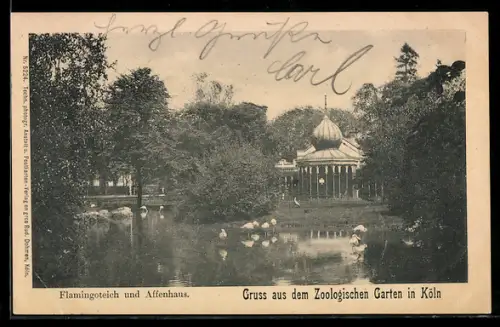 AK Köln, Flamingoteich und Affenhaus im Zoologischen Garten