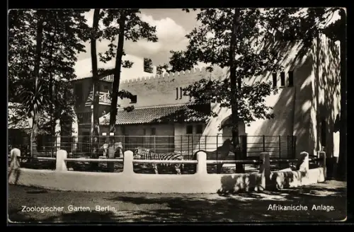 AK Berlin, Zoologischer Garten, Afrikanische Anlage