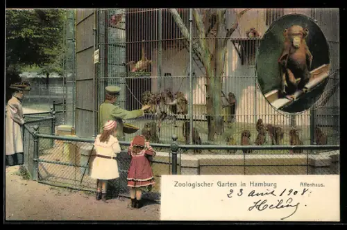 AK Hamburg, Zoologischer Garten, Fütterung am Affenhaus