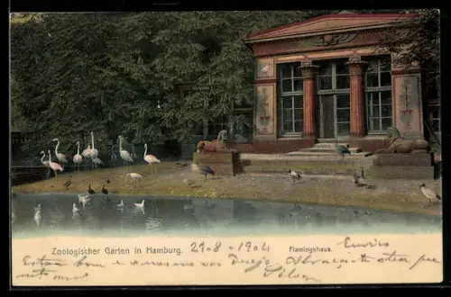 AK Hamburg, Zoologischer Garten, Flamingohaus