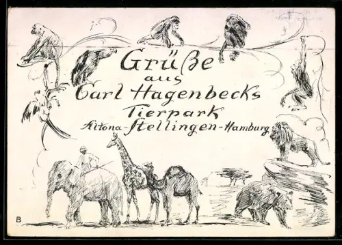 AK Altona-Stellingen /Hamburg, Carl Hagenbecks Tierpark, Elefant, Giraffe, Affen, Bär, Löwe
