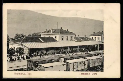 AK Tzaribrod, Gare-Bahnhof