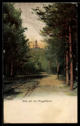 AK Berlin-Köpenick, Blick auf den Müggelturm