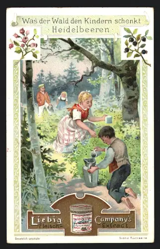Sammelbild Liebig, Was der Wald den Kindern schenkt, Kinder pflücken Heidelbeeren