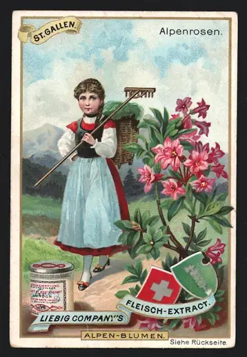Sammelbild Liebig, Alpenblumen, St. Gallen, Alpenrosen