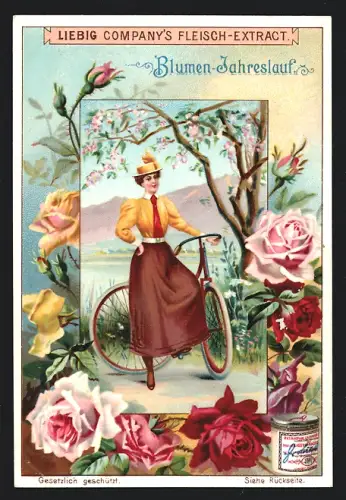 Sammelbild Liebig, Blumen-Jahreslauf, Bunte Rosen, Dame mit Fahrrad