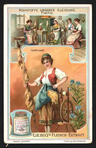 Sammelbild Liebig, Rohstoffe unserer Kleidung, Flachs, Leinpflanze