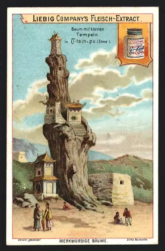 Sammelbild Liebig, Merkwürdige Bäume, Baum mit kleinen Tempeln in Ti-tsin-pu, China