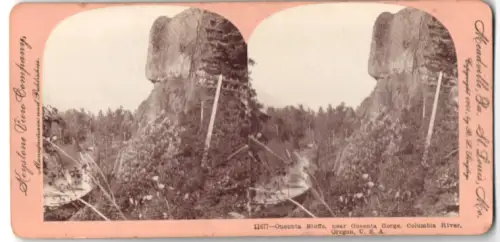 Stereo-Fotografie Keystone View Company, St. Louis, Ansicht Oneonta Gorge, OR, Oneonta Bluffs on Columbia River