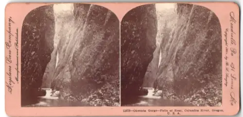 Stereo-Fotografie Keystone View Company, St. Louis, Ansicht Rear, OR, Oneonta Gorge on Columbia River