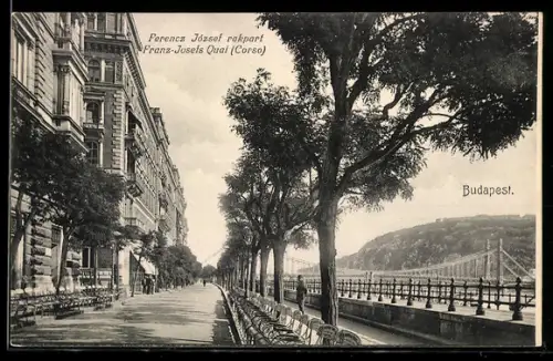 AK Budapest, Franz-Josefs-Quai, Korso