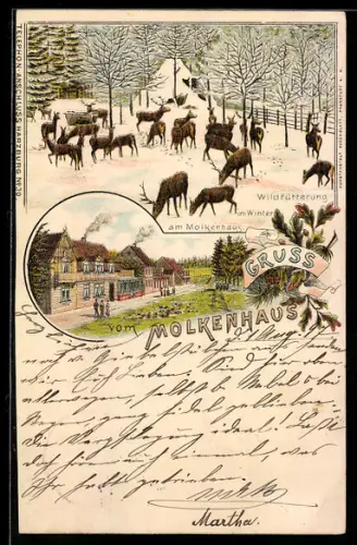 Lithographie Bad Harzburg, Gaststätte Molkenhaus mit Strasse, Wildfütterung im Winter