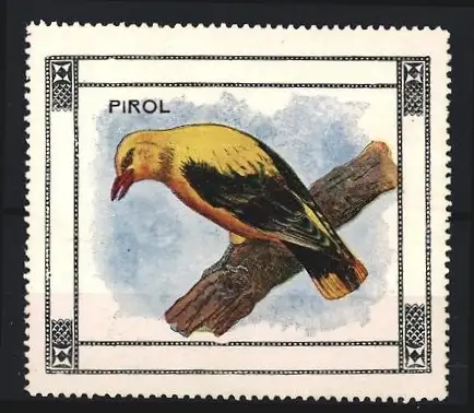 Reklamemarke Pirol, Vogel auf Ast