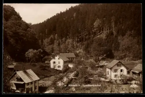 AK Hohwald, Sperberbächel