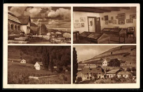 AK Badacsony, Promenade, Museumsraum, Panorama