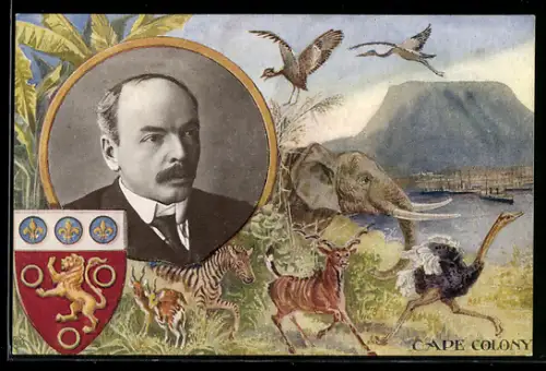 Künstler-AK Cape Colony, Porträt, Wappen und Zebra, Strauss, Antilope