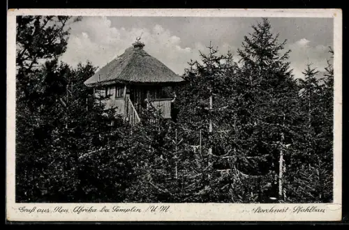 AK Neu-Afrika bei Templin, Storchnest, Pfahlbau