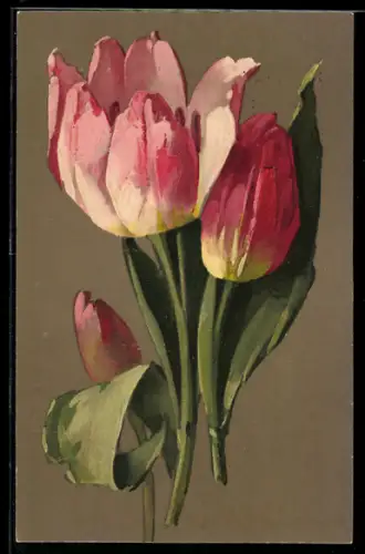Künstler-AK Meissner & Buch (M&B) Nr. 1886: Drei Tulpen