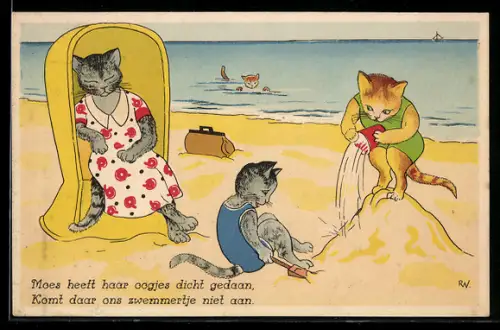 AK Katzenkinder spielen am Strand, vermenschlichte Tiere