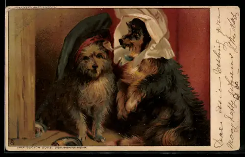 AK Hund mit Baskenmütze, Hund mit Haube und Tabakspfeife