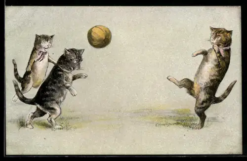 AK Drei Katzen beim Fussballspiel